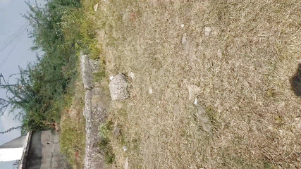 ब्रिज नीचे चुदायी आउटडोर विलेज सेक्स