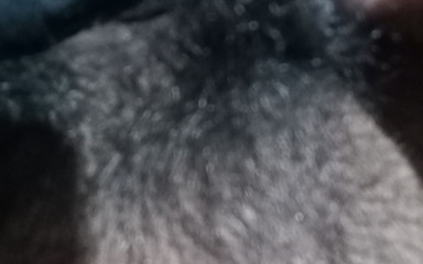 देसी भाभी की कहानी चुत की कहानी