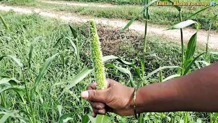 सुमिता भाभी अफेयर, पड़ोसी पति, चुदाई, हार्डकोर सत्र, स्तन दिखाना, आउटडोर चाटना, मेरी बिल्ली दिखाना, सेक्स XXX साफ़ ऑडियो