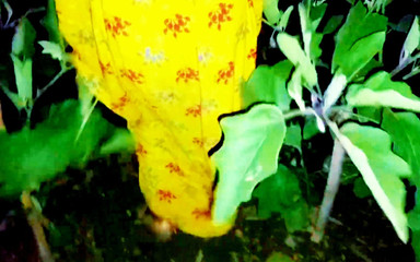 आउटडोर मेरी देसी पत्नी सेक्स