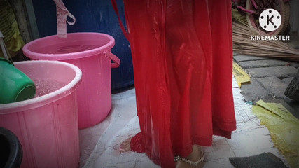 मास्टर स्टॉक