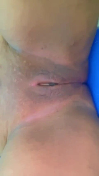 प्रेमिका बिल्ली