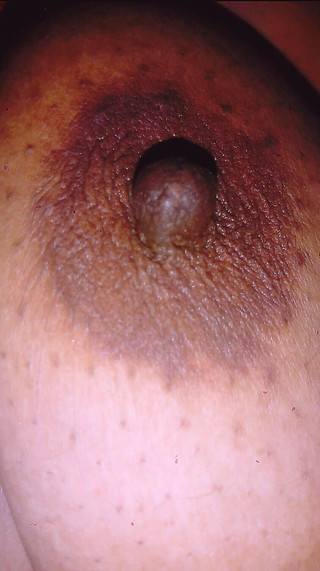 गीता स्टेपाउंटी शो बड़े बड़े स्तन और बिल्ली 2025 भाग दो