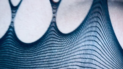 गुदा और मौखिक बिल्ली