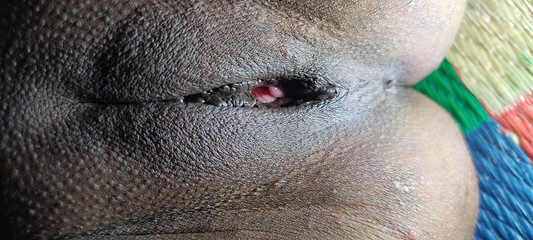 देहाती देहाती सौतेली माँ के साथ ऑडियो हिंदी रोमांस और सेक्स