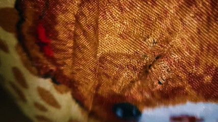 सदन में कोई नहीं है भाग 3