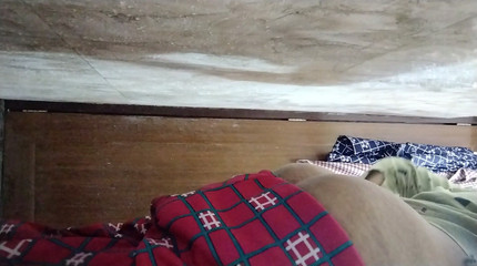 घरेलू पत्नी घर पर अपनी बिल्ली साफ करती है