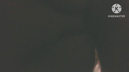 स्थानीय घर में बनी चुदाई देसी