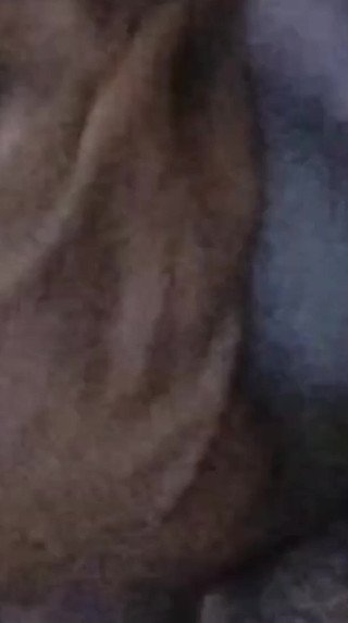 शयनकक्ष में बकवास