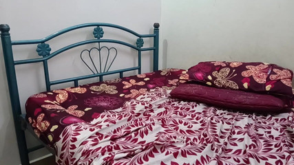 मेरे जीवन में हर दिन पत्नी की चुदाई