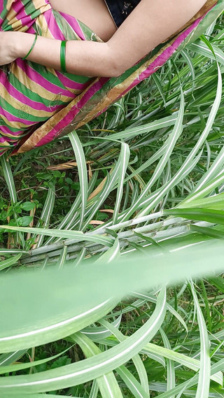 देसी भारतीय भाभी अपने जीजा के साथ जंगल में