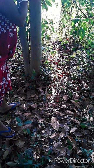 मैंने अपनी बहू को जंगल में चोदा बंगाली गंदा ऑडियो