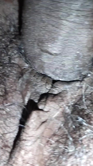 जोड़े मेरी पत्नी रात के समय सेक्स