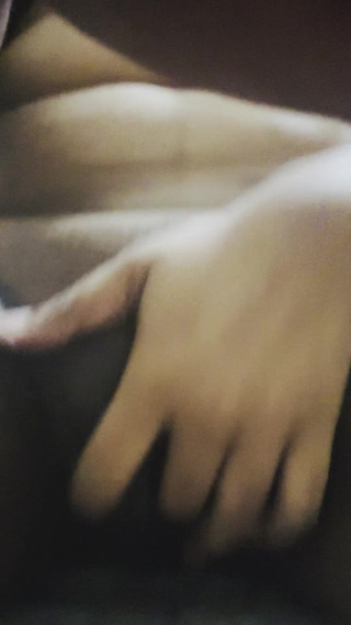 रसदार भारतीय बिल्ली