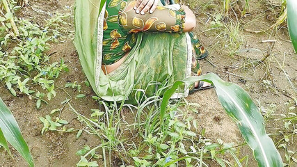 देसी इंडियन भाभी को मक्के के खेत में जीजू का काला मोटा लंड बहुत पसंद आया और वो चुद गयी