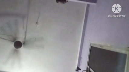 उल्लू बहुत बड़ा बिल्ली बड़ी