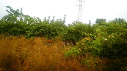 सेक्स में बॉय मोटर पम्ब सेट रूम के साथ सौतेली माँ