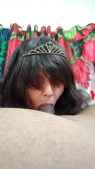 प्यारी बीबीसी का ध्यान आकर्षित करती है