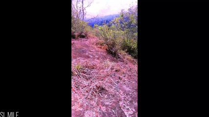 बड़े स्तन वाली गर्ल फ्रेंड के साथ जंगल में जोखिम भरा त्वरित सार्वजनिक सेक्स