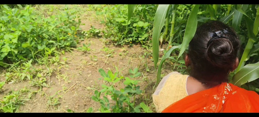 सोनम को मक्के के खेत में चोदा गया