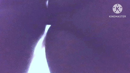 तंग पुसी स्टेपाउंटी बड़ी स्टेपाउंटी हार्ड कोर सेक्स कोर कोर सेक्स कोर कोर सेक्स स्टेपाउंटी भारतीय स्टेपाउंटी देसी स्टेपाउंटी