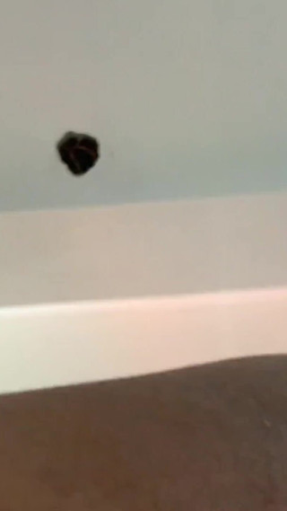 नवविवाहित लड़की को जोश से चूसो और चोदो