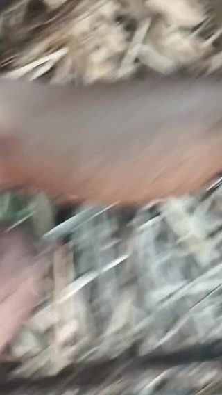 मेरी हॉट महिला और मैं गन्ने के खेत की गंदगी में देसी वीडियो