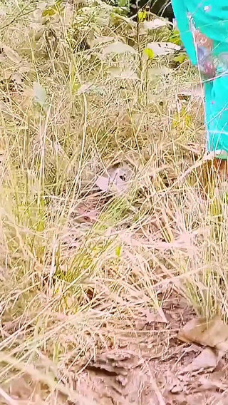 भारतीय आउटडोर सेक्स. तेलुगु गंदी बातें.