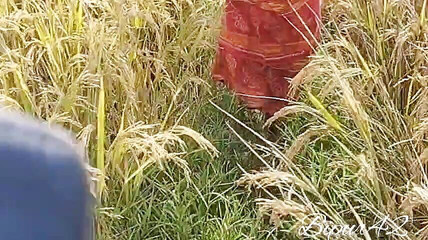 आउटडोर सेक्स. जंगल सेक्स. सेक्स. भारतीय पोर्न.