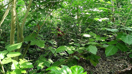 जंगल में भाभी की चुदाई - इंडियन हॉट सेक्स