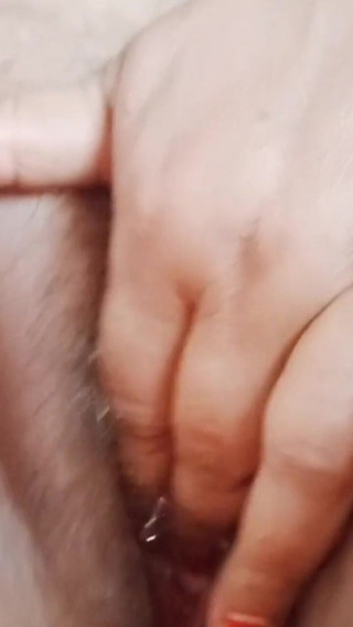 बंद करो भारतीय बिल्ली