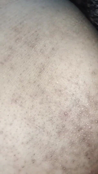 देसी कॉलेज लड़की शहद बिल्ली चाट