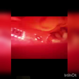 ग्रीन गार्डन फुल सेक्स वीडियो हसीनाबेगम1234