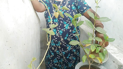 भारतीय तमिल ग्राम सौंदर्य सौतेली माँ सेक्स