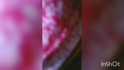 कॉलेज छात्र शयनकक्ष प्रदर्शन