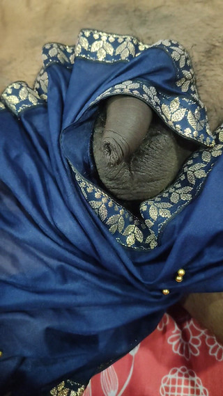 सेक्सी भाभी ने सौतेले भाई को साड़ी में हैंडजॉब दिया