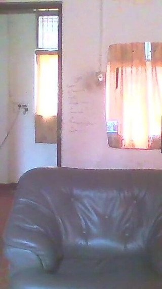 श्रीलंका में आज़ाद फूहड़ पक्षी के रूप में रह रहे हैं