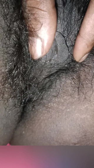 मेरी प्यारी बिल्ली और भगनासा