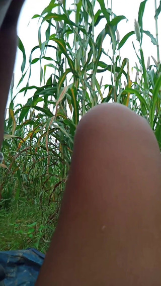 देसी गांव का सेक्स वीडियो हुआ वायरल