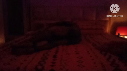 जयपुर के होटल रूम में हॉटवाइफ और ऑफिस बॉस