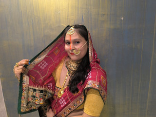 हरतालिका तीज महोत्सव उत्सव