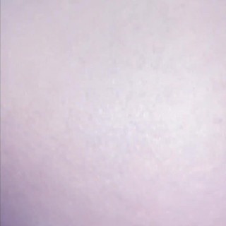 कुत्ते की चुदाई कट्टर