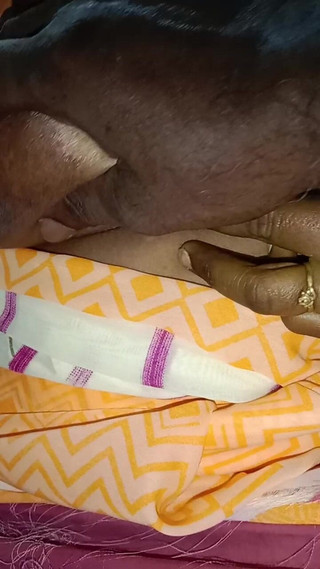 मेरी पड़ोसन की सौतन ने मुझे बुलाया जब उसका पति बाहर था, तो मैं गया और उसकी चूत में उंगली की