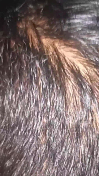 नए साल की पूर्व संध्या पर मैंने अपने पुराने प्रेमी को रात में जमकर चोदा और नए साल का जश्न मनाया