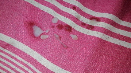 भारतीय सुंदर लड़की बड़े बालों वाली स्तन बिल्ली चाटना चोदन