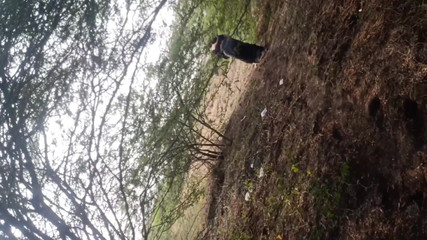 स्टेपाउंटी आउटडोर विलेज सेक्स