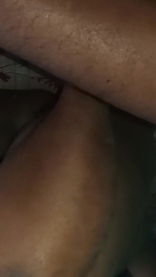 परिपक्व गधा गड़बड़