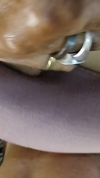 दूसरा भाग हिंदी ऑडियो लैंड लॉर्ड महिलाओं को उसकी घड़ी पुरुषों हार्ड कोर सेक्स छोटी बिल्ली को चोदते हुए