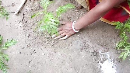 हिंदी ऑडियो हॉट भाभी सेक्स