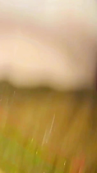 भारतीय पंजाबी लड़की को उसके सौतेले भाई ने चोदा, भारतीय देसी लड़की जानवी भाभी सेक्स